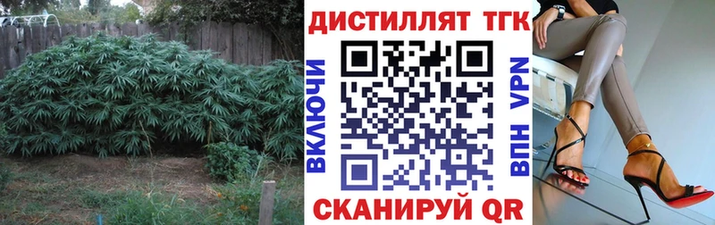 купить наркоту  Циолковский  ТГК THC oil 