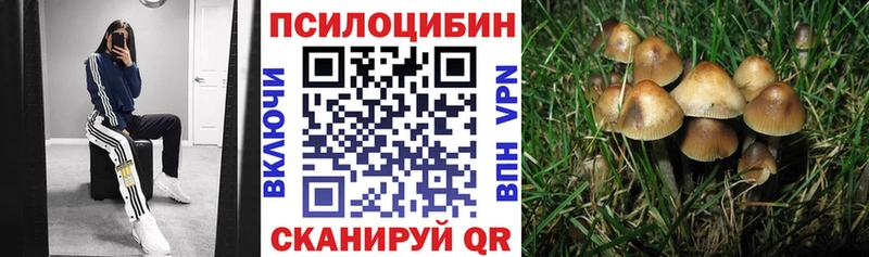 Галлюциногенные грибы мицелий  hydra ТОР  Циолковский  наркота 